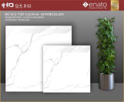 Gạch SENATO - 60x60